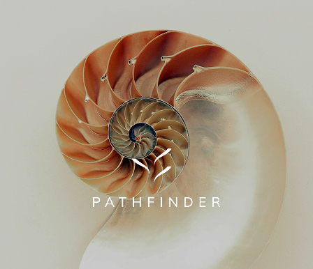 The spiral of a shell shimmering in coral tones and mother of pearl and the Triada Pathfinder Logo infront